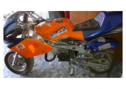 Minimoto de gasolina de 49