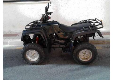 Ofrezco quad de 49cc de 2 plazas itv en vigor hasta 2016 color verde militar