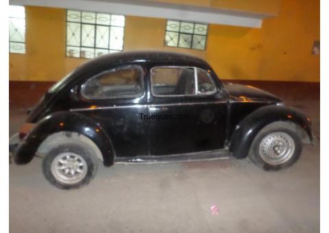 Vw escarabajo año 76 con placas actuales