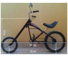 Cambio bicicleta chopper por algo que me interese - 1/1