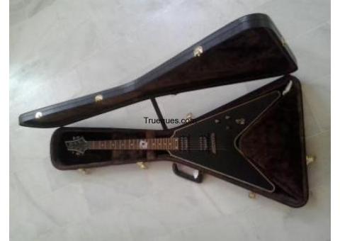 Ofrezco guitarra schecter blackjack v1 por alquiler vacacional en playa o campo