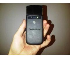 Blackberry torch - 1/1