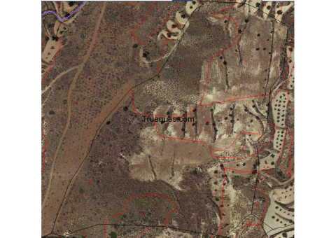 Terreno 47.000 m2 en lucainena de las torres (almería)