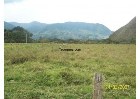 Terreno 5,000m2 en chontabamba o parte de el tambièn