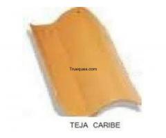 Tejas tipo caribe - 1/1