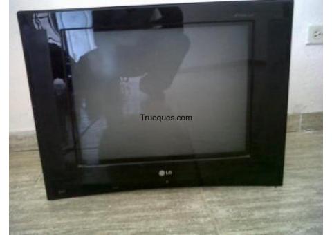 Televisor pantalla plana 22pulg. lg