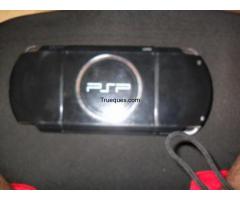 Psp 3001 - 1/1