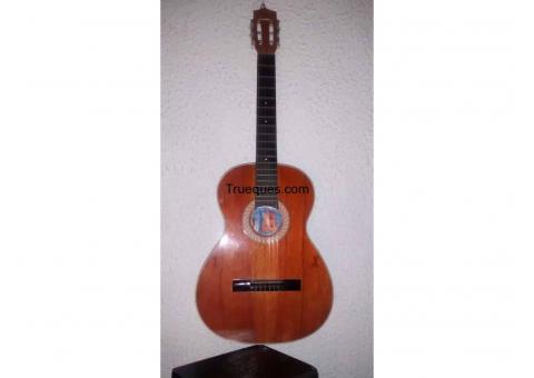 Guitarra acústica