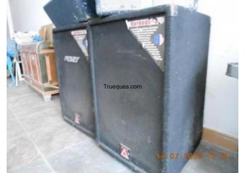 Pantallas peavey 300w