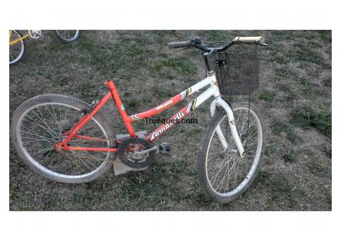 Bicicleta rodado 24 tomaselli