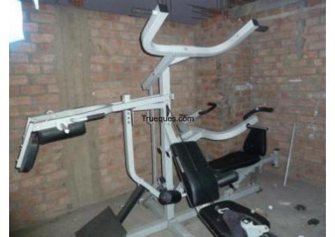 Multi gimnasio profesional