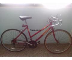 Roadmaster 10 speed - 1/1