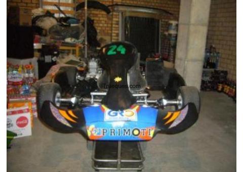 Cambio kart de competicion nuevo por coche