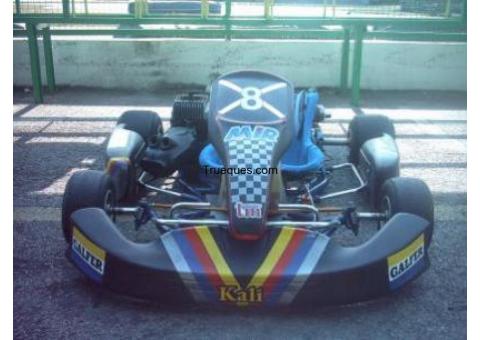 Kart por coche