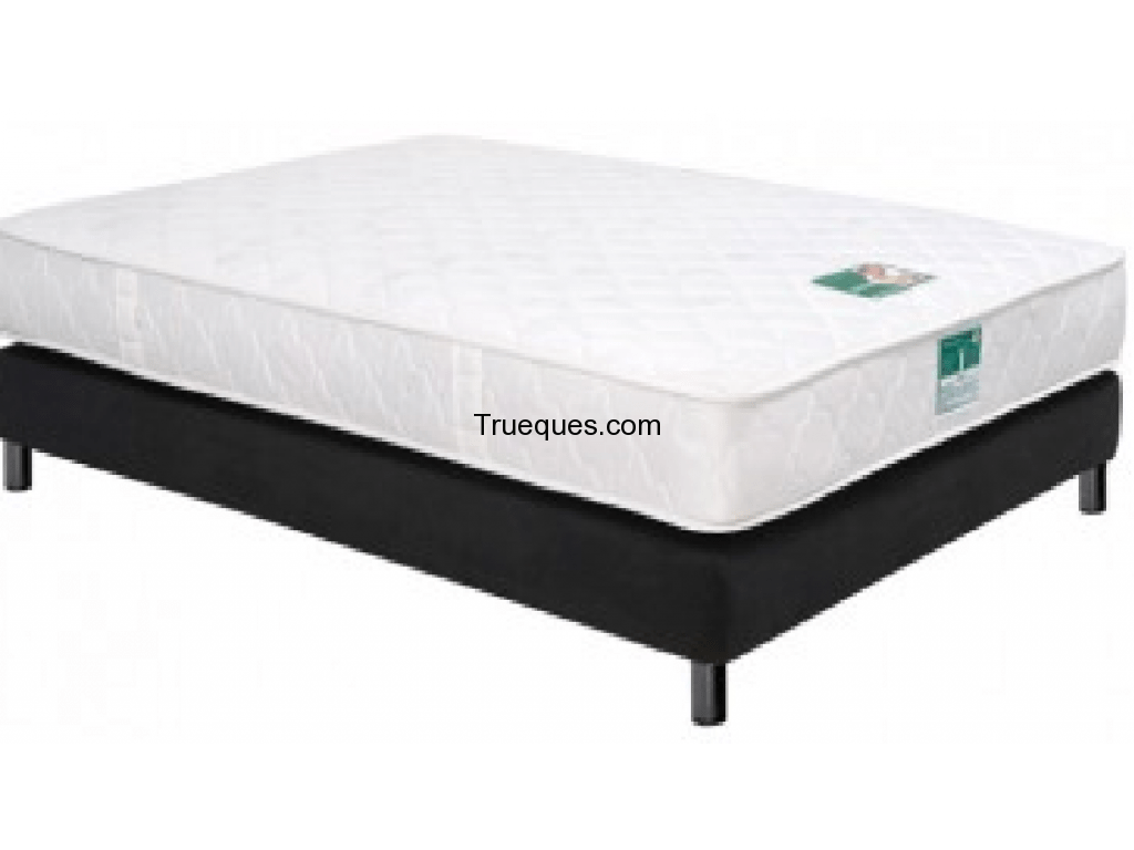 2 bases de plaza y media