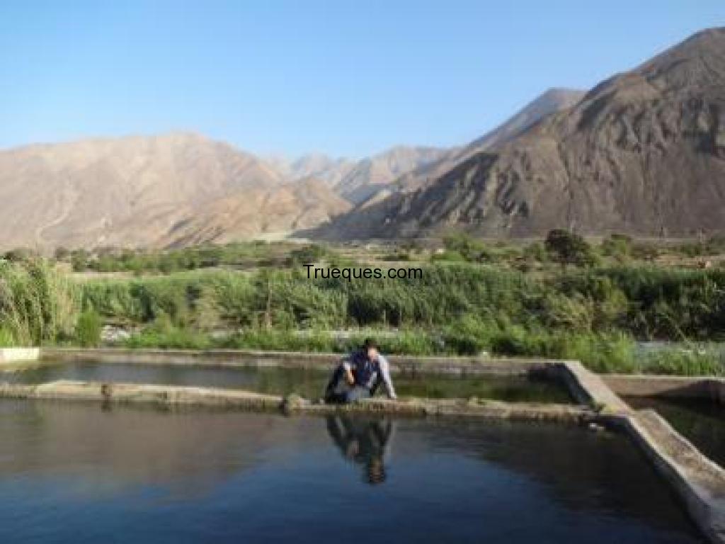 Complejo agro industrial turistico con potencial