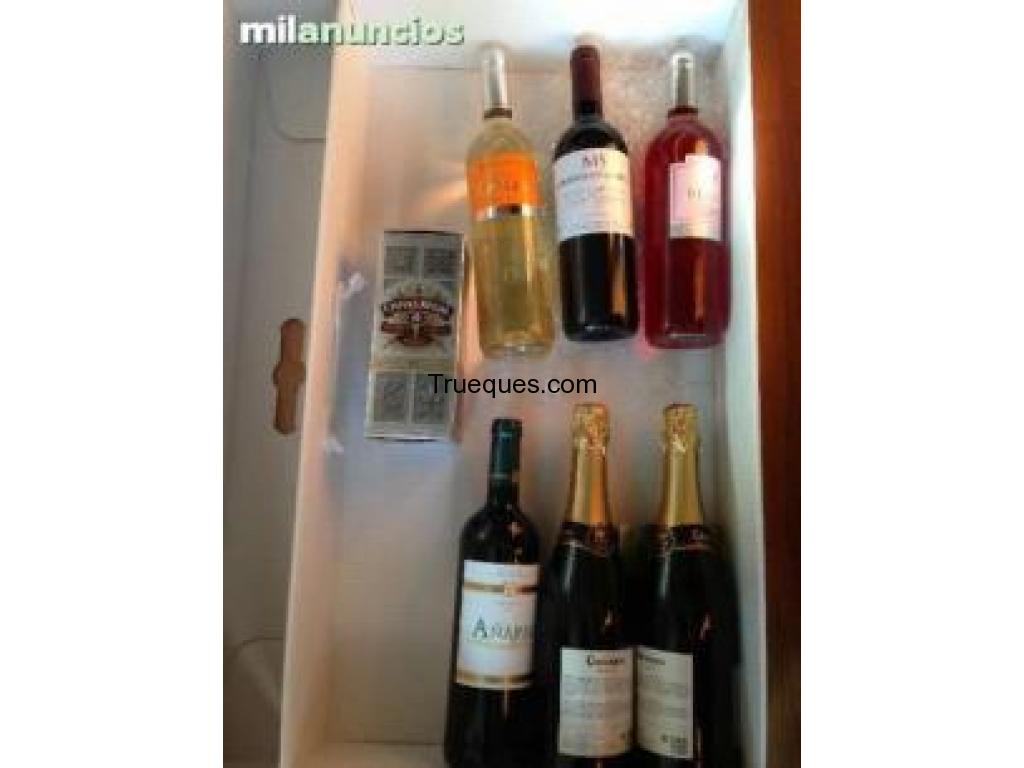 Lote de botellas de vino
