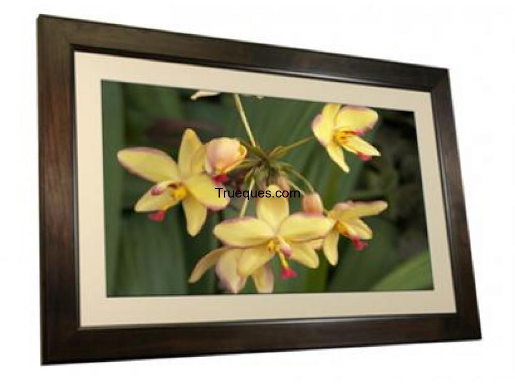 Marco digital de 15 pulgadas nuevo a estrenar