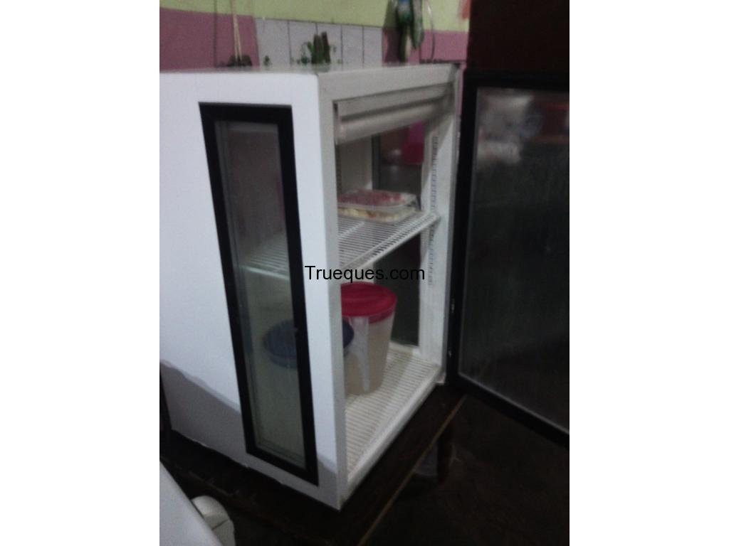 Mini_nevera de exhibicion
