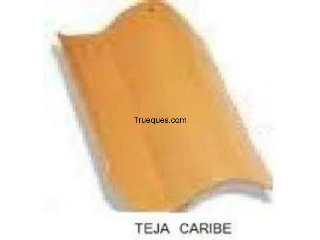 Tejas tipo caribe