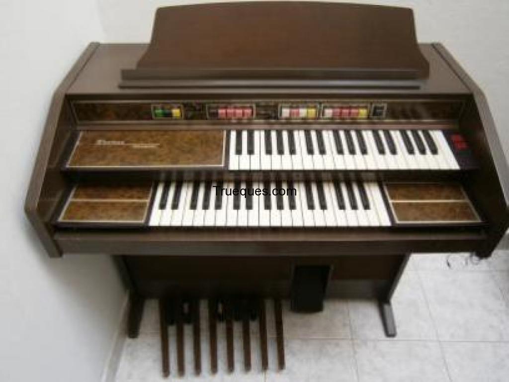 Organo thomas playmate