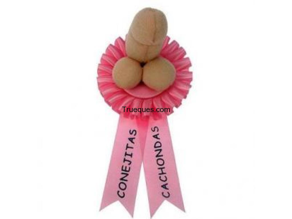 Pagina web funcionando