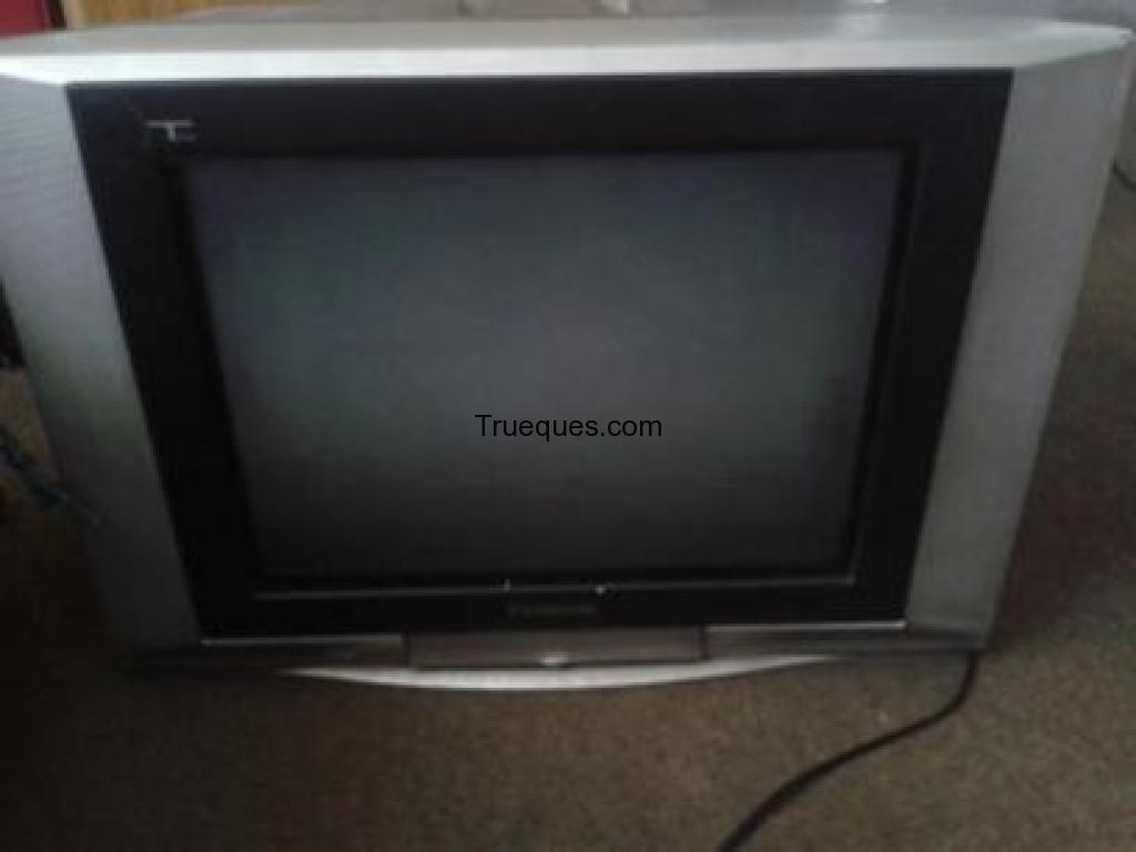 Televisor panasonic 21 pulgadas