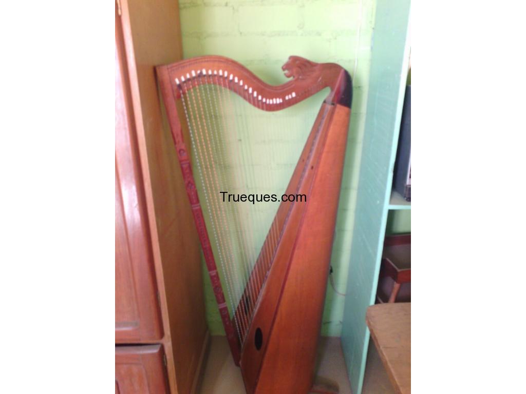 Arpa musical listo para tocar