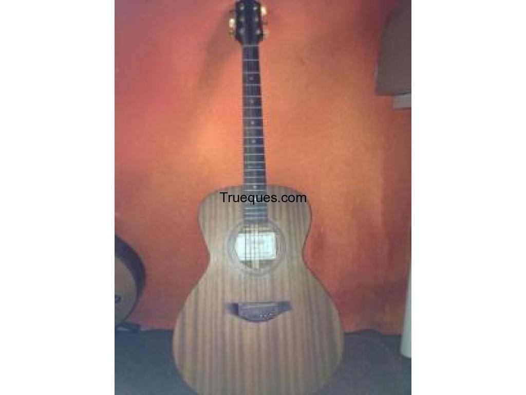 Guitarra acustica manuel rodriguez con funda rigida