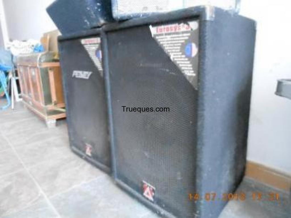 Pantallas peavey 300w