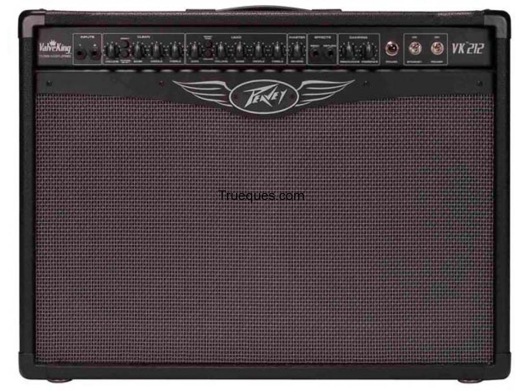 Peavey valveking 212
