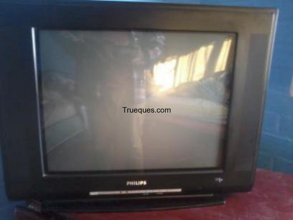 Permuto mi televisor por un celular con android de cualquier modelo