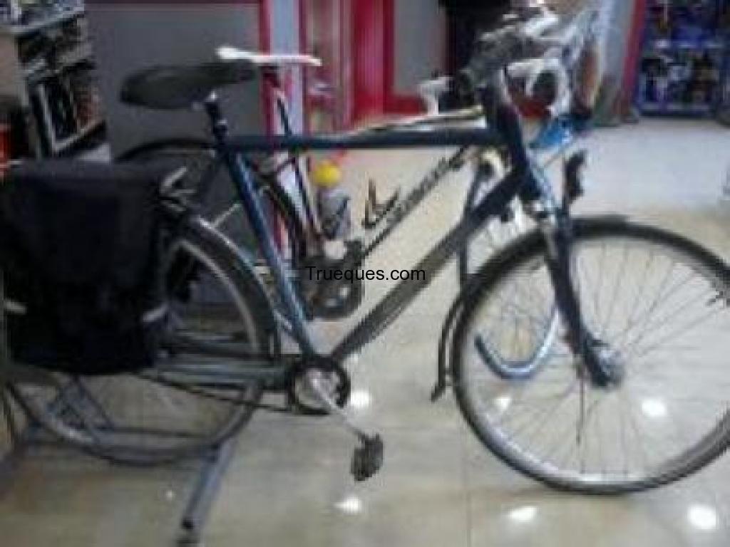 Bici batavus holandesa