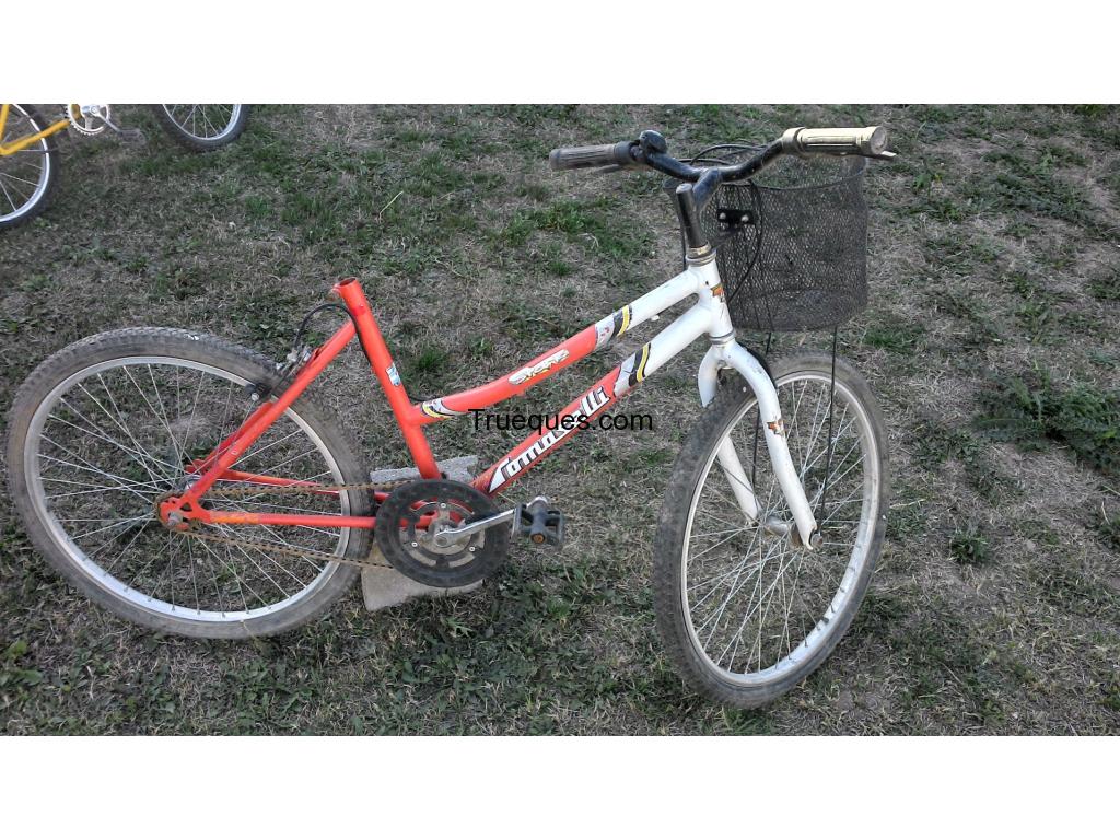 Bicicleta rodado 24 tomaselli