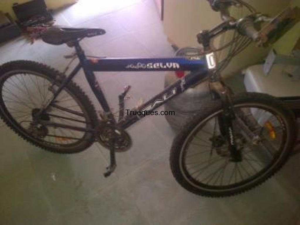 Cambo mi bicicleta raly