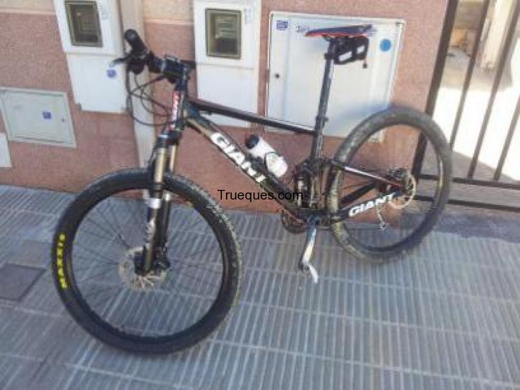 Giant anthem impecable