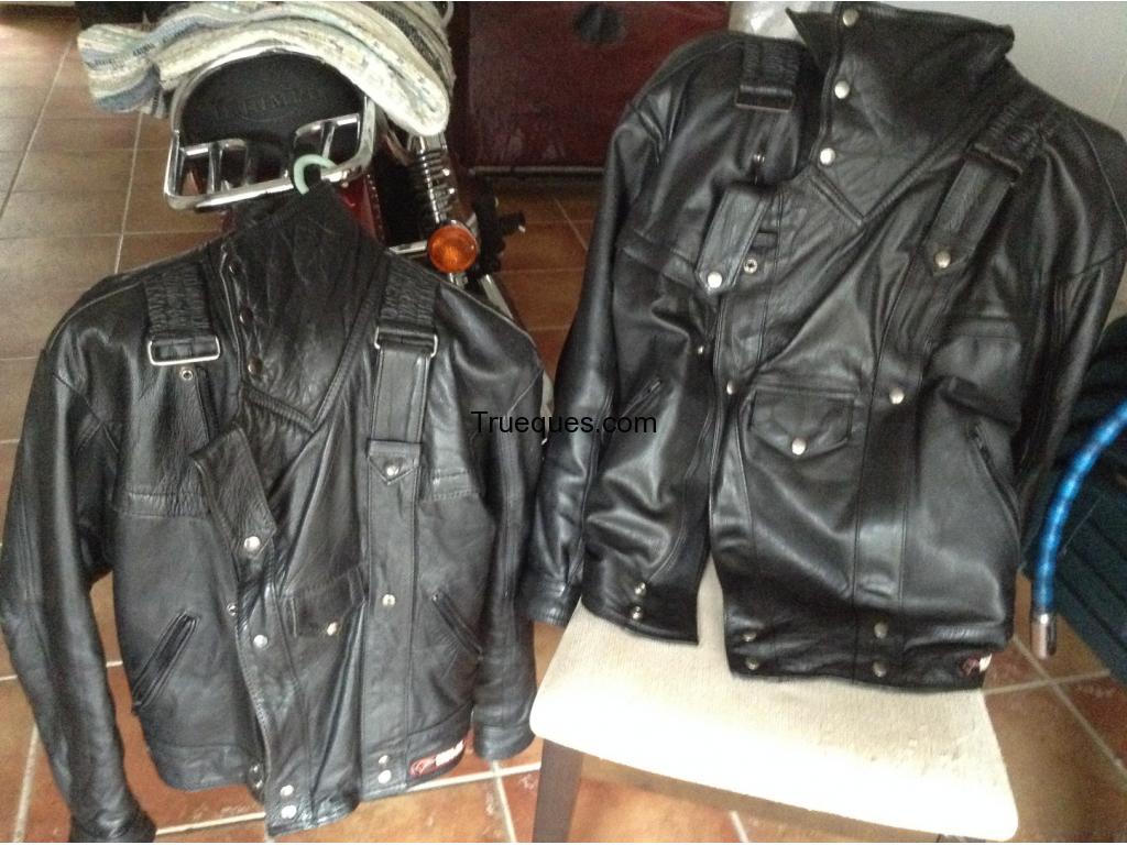 Cambio cazadora chaqueta cuero moto kiwi