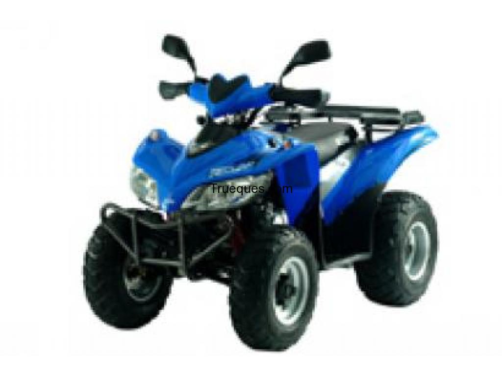 Cambio quad de 250 cc por coche clasico o acepto sugerencias