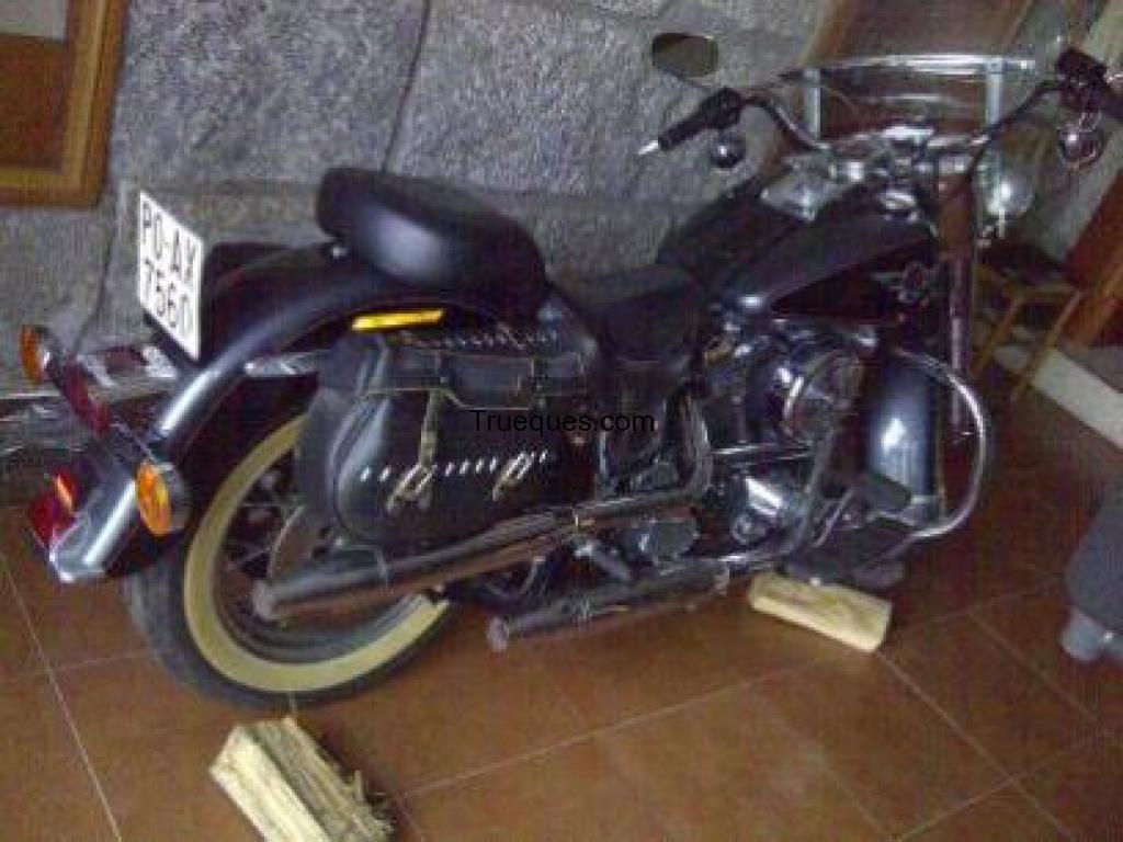 Harley davidson softail