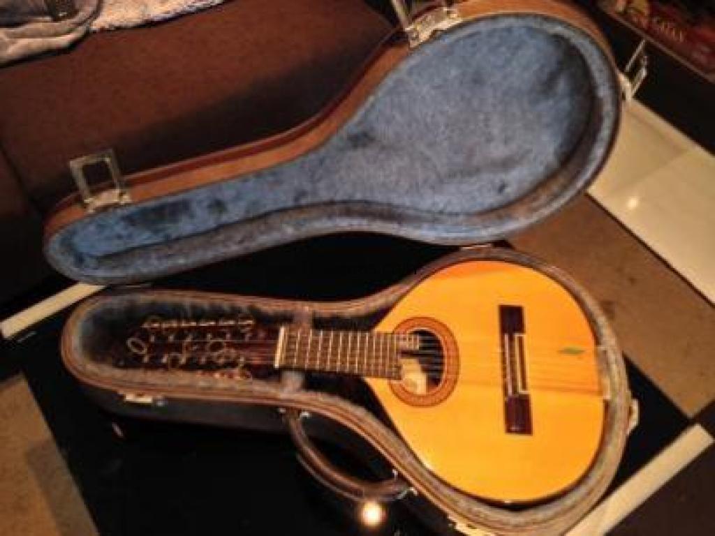 Bandurria alhambra 6p