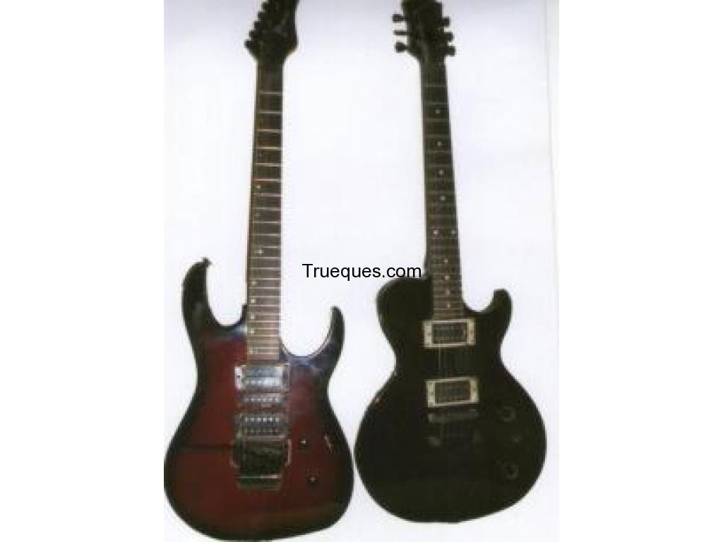 Guitarra electrica palmer elite