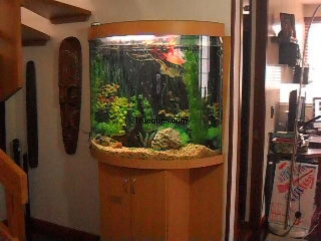 Decoracion con agua en movimiento