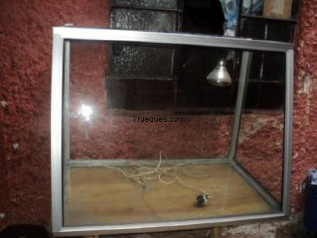 Vitrina para pollo frito