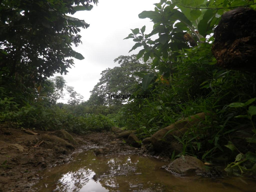 Doy 4htrs finca por trabajos