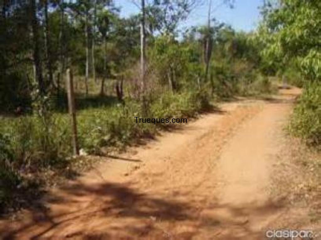 Por un camion o por un carro o por local