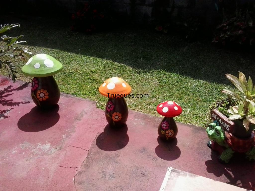 Terreno con apartamento