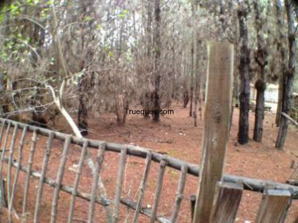 Terreno del 500 m2 en laguna verde