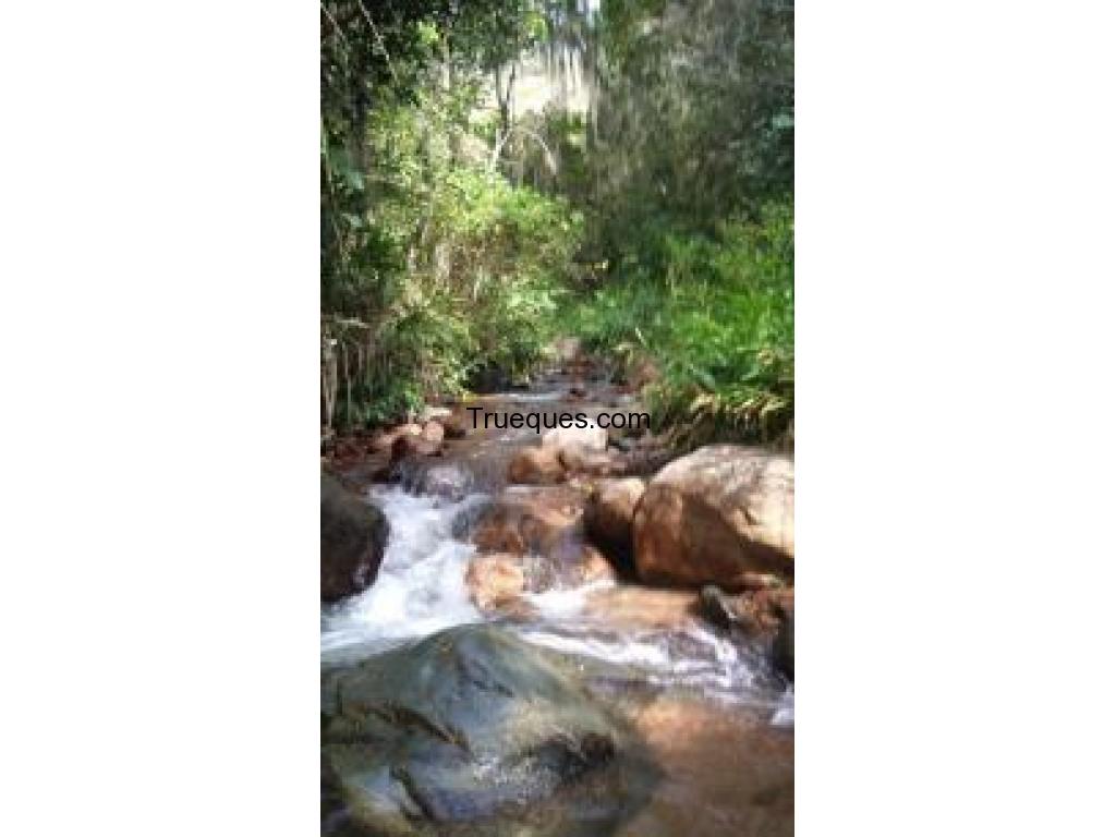 Terreno en colombia abordo de carretera troncal