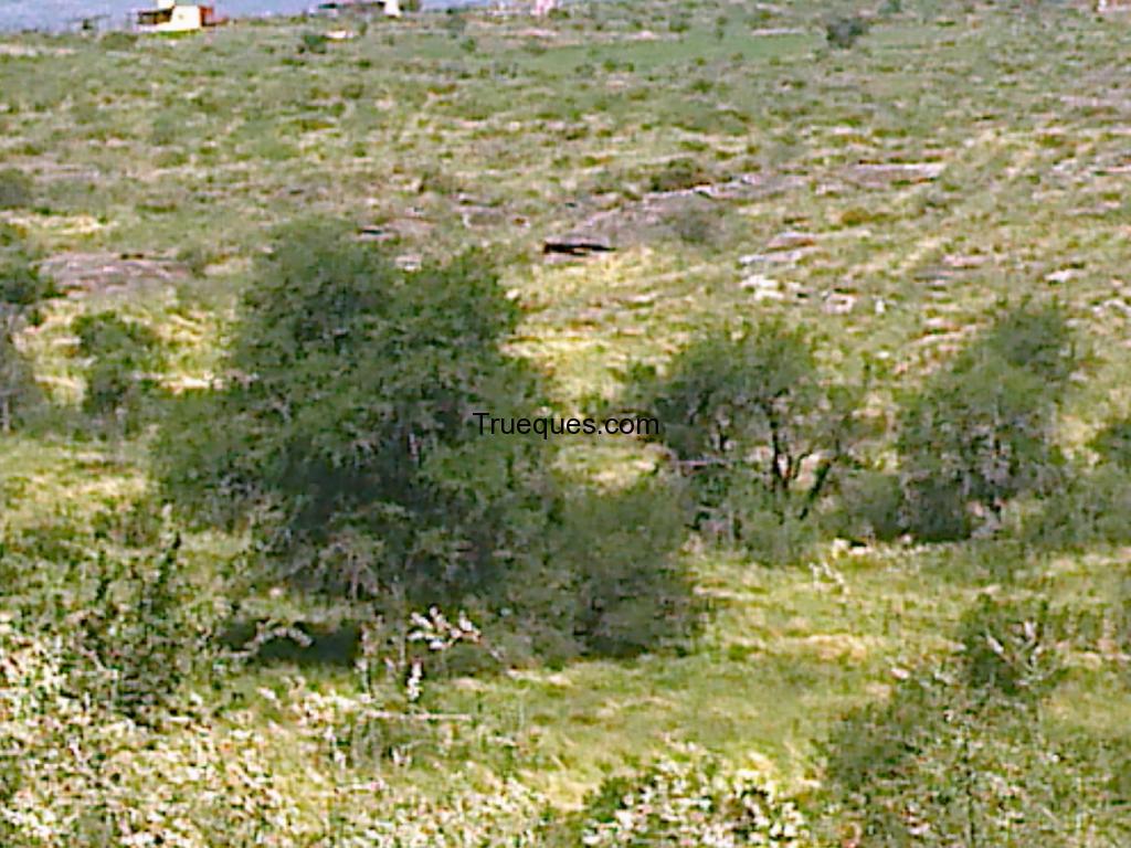 Vendo lotes en tanti sierras de cordoba paz y naturaleza