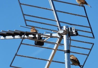 Antenista-antenas-averias-reparaciones-instalaciones-0